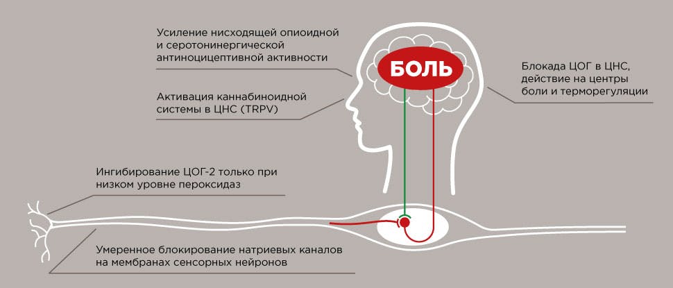 Механизм действия парацетамола6