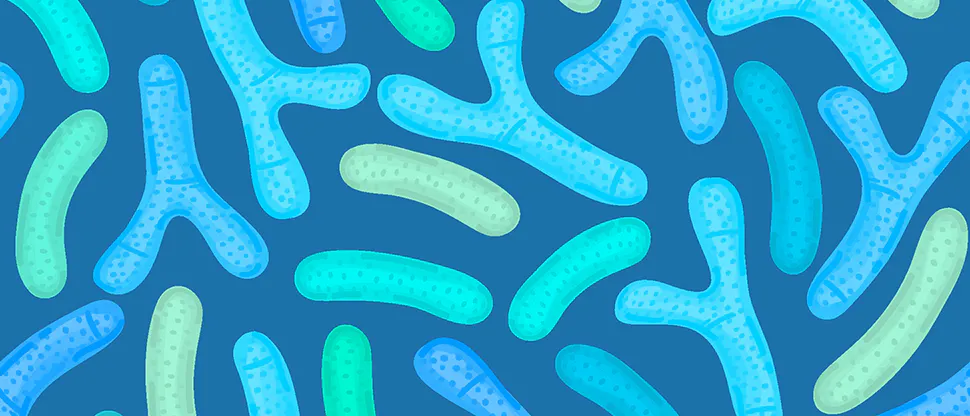Bifidobacterium longum BB-46