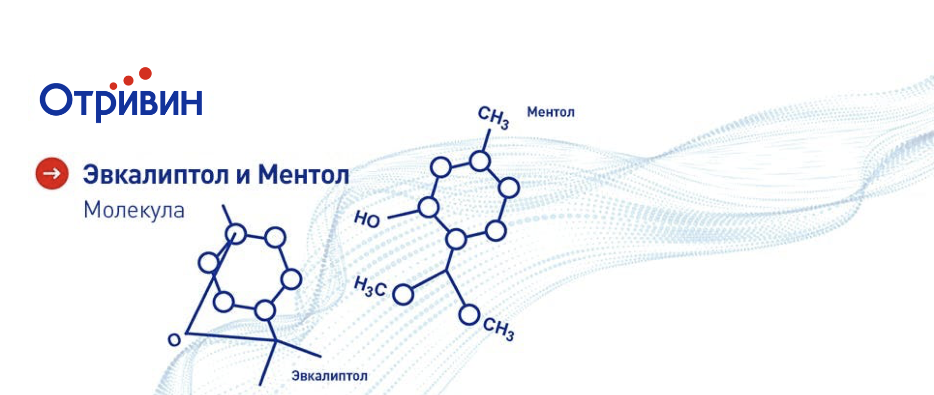 Ментол и эвкалиптол вызывают ощущение охлаждения в полости носа4