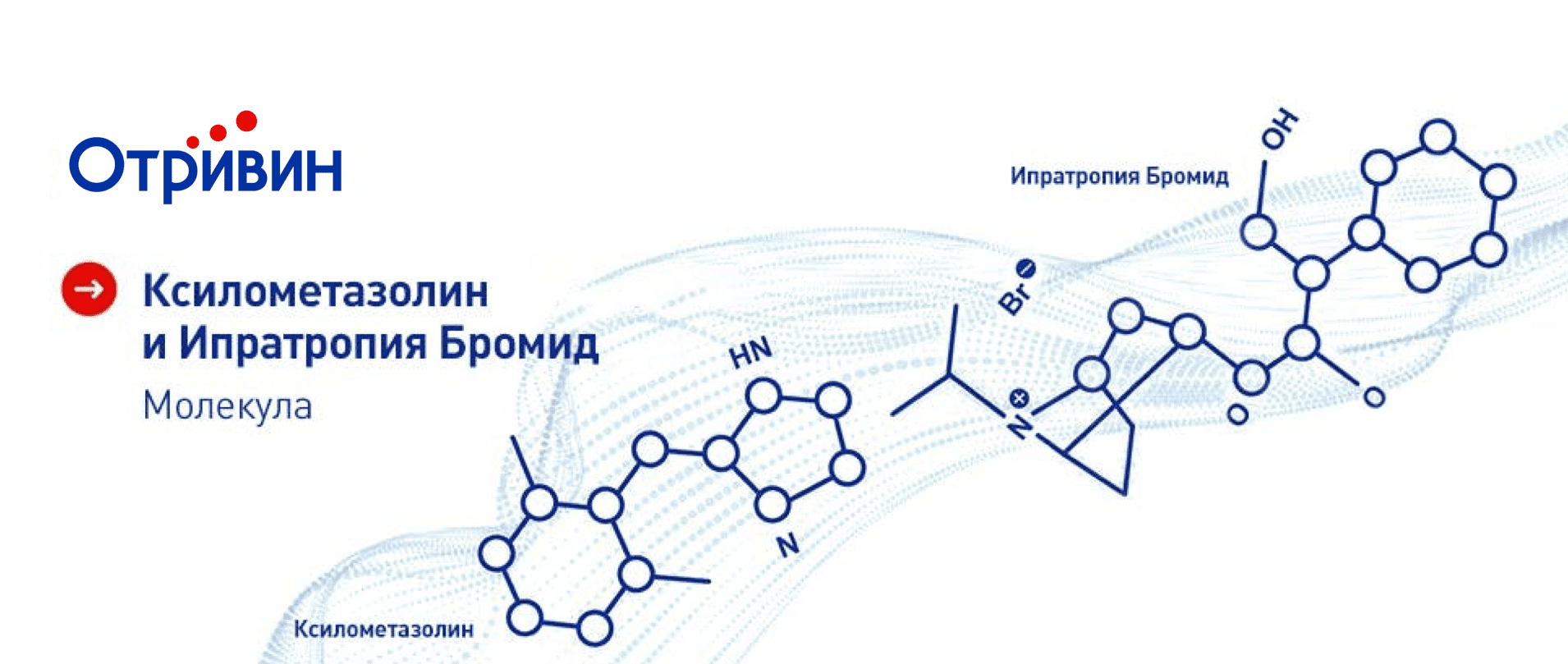 Ксилометазолина гидрохлорид и ипратропия бромид: высокоактивная терапевтическая  комбинация