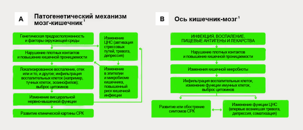 Этиология и патогенез
