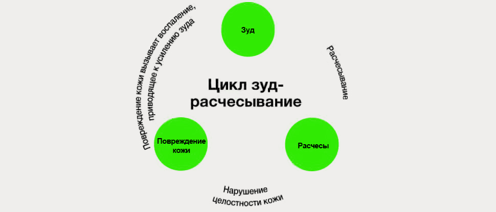При зуде может формироваться порочный круг "зуд-расчесы", что может еще больше ухудшить состояние11,12