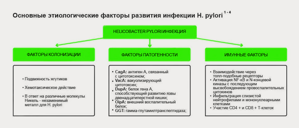 Обзор