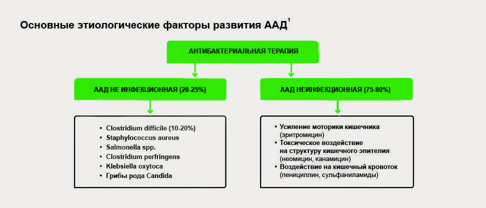 Патогенез ААД