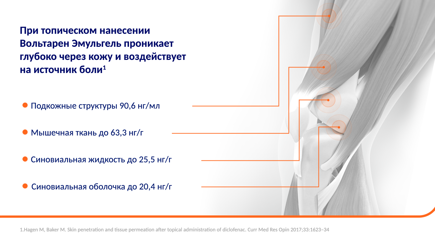 Диклофенак проникает глубоко в подлежащие ткани в области сустава2