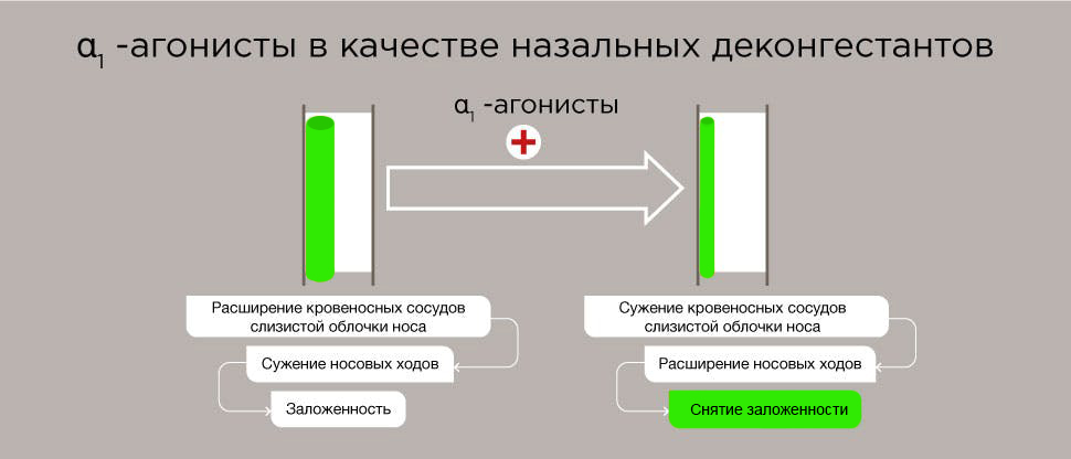 Механизм действия α1 агонистов
