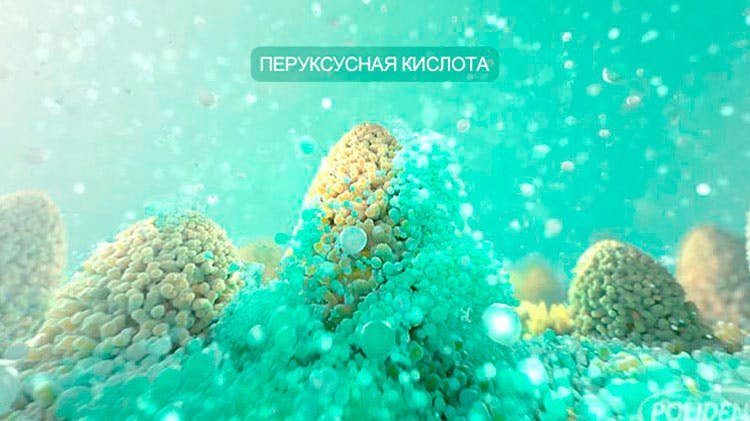 Научное обоснование состава средств Корега: состав таблеток для очищения зубных протезов